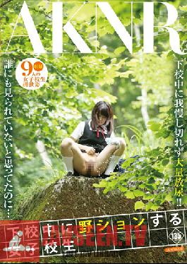 Studio Akinori A Schoolgirl PoSSes Outdoors On Her Way Home From School