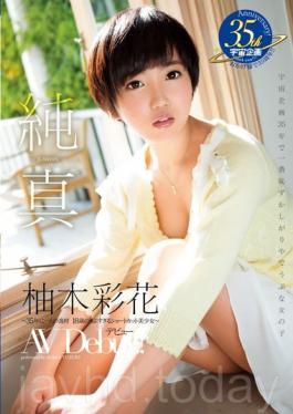 Innocence Ayaka Yunoki