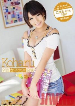 Studio Big Morkal Country-wide University Student Cartoon Fukui Koharu Koharu Aoi