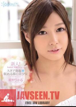 New Face! kawaii Exclusive Debut - Star Discovery: Beautiful Hikaru Kono