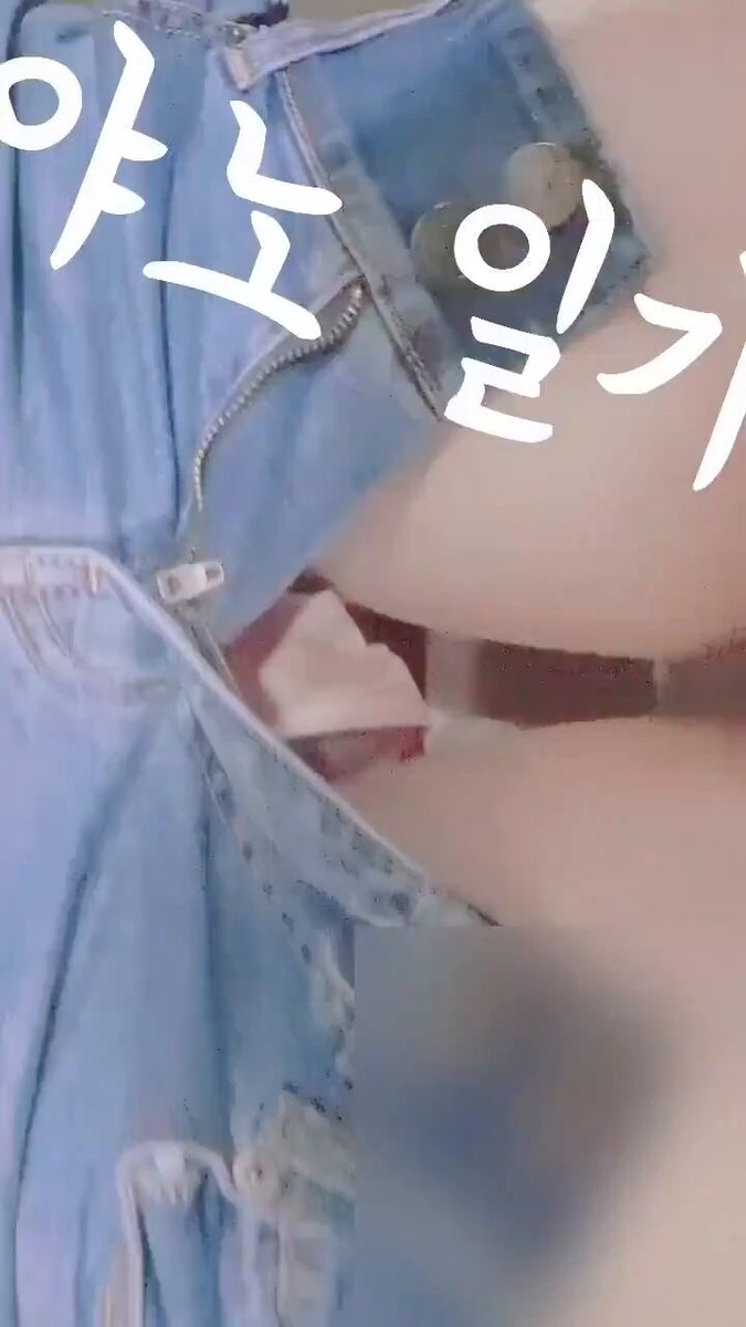 야노 일기