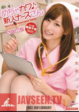 Mr. Chika Color Painting Mecha Nurse Rookie River ?