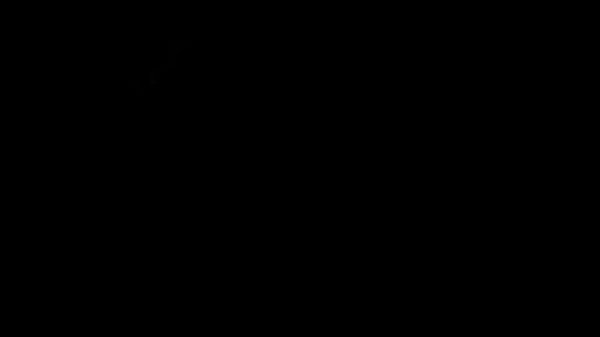 MOV01017