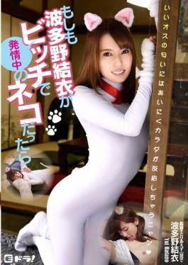 When Was The Cat In Estrus If Hatano Yui Bitch - E Dora!