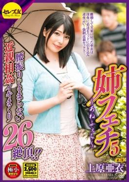 studio Serebu No Tomo - Sister Fetish 5 Uehara Ai