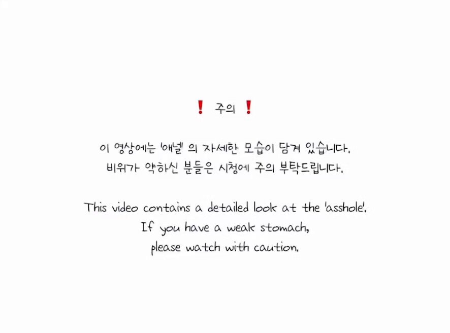 토ㄲㅣ