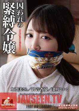 Captive Bondage Daughter DID Collection 1