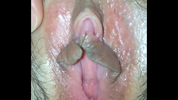 IMG 7998.MOV
