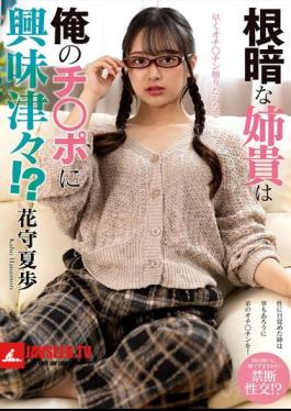 My Gloomy Older Sister Is Curious About My Dick!? Hanamori Kaho