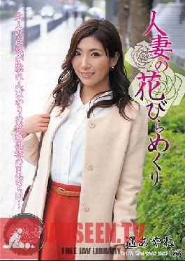 A Married Woman's Blooming - Ayane Haruka