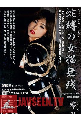 Studio Attackers Jabaku's She-Cat Tragedy - Shinobu Rei