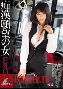 Girls Looking for Molesters - Big Tits Office Lady Edition ( Hana Haruna )