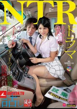 Porn Star Chintaro Sakurai 's Breaking In Diaries - Special