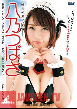 Studio Crystal Eizo - Dream Girlfriend Tsubasa Hachino