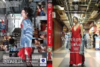 DLDSS-566 Where is my wife? 三葉ちはる