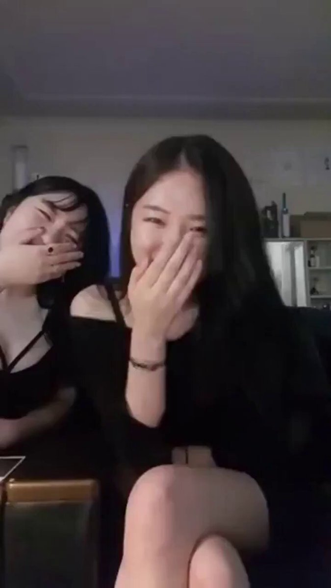모음집