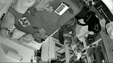 Camera on the ceiling: everything that happened after the door closed.