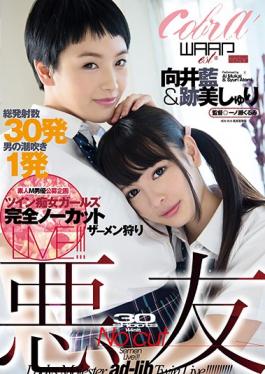 studio Waap Entertainment - Bad Company Ai Mukai Atobi Sri