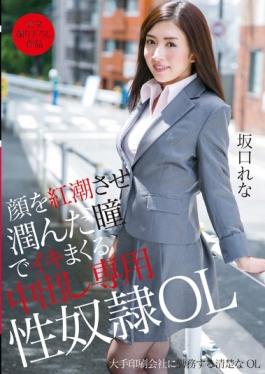 Dedicated Sexual Slavery OL Rena Sakaguchi Out In That Spree Alive In The Pupil That Junn To Flush The Face - Crystal Eizou