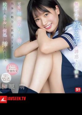 I Was Seduced By An Innocent Student And Couldn't Resist Her Cute Face, Voice, Smell, And Young Body. I Penetrated Her Everywhere, At School, In A Hotel, Etc. Moe Sakakibara (Blu-ray Disc)