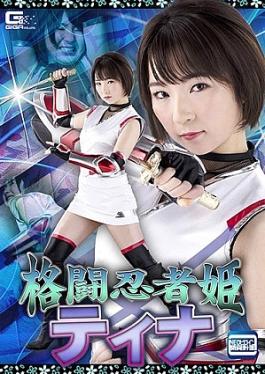 Fighting Ninja Princess Tina Mamiya Nagi