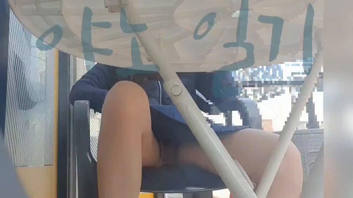 야노 일기