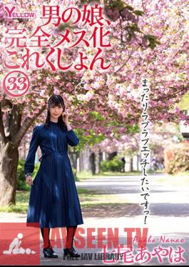 Man's Daughter, Complete Female Collection 33 Nanao Ayaha