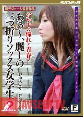 Youth And Longing For My Father! 2 Tri-Fold Schoolgirl Socks - Oh, The Beautiful