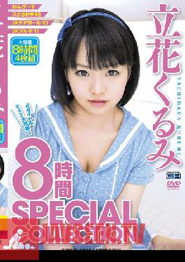 Studio Crystal Eizou SPECIAL COLLECTION 8 Hours Walnut Tachibana