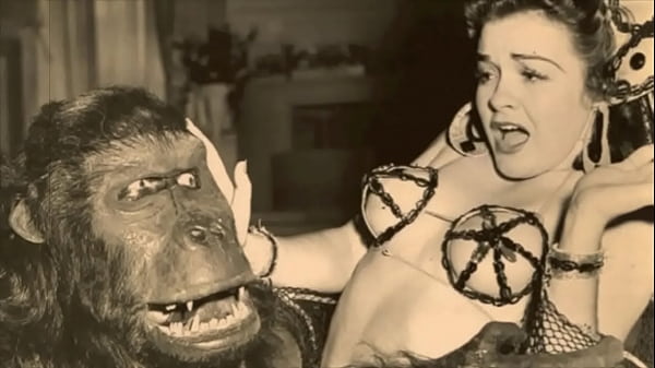 Dark Lantern Entertainment Presents 'Vintage Petmania'
