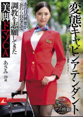 Perverted Cabin Attendant: Beautiful Legged Masochist Cabin Attendant Asami Mizubata Can't Forget The Excitement Of That Day And Volunteered For Training