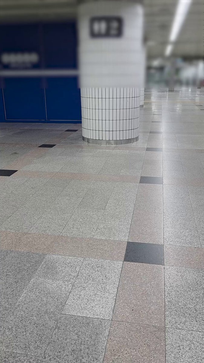 진성 네토