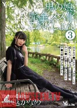 Trap Total Sissification Collection 3 Kaname Hoshigoe