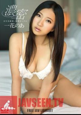 Intersect Fluid, Intense Sex Ichihana Noah