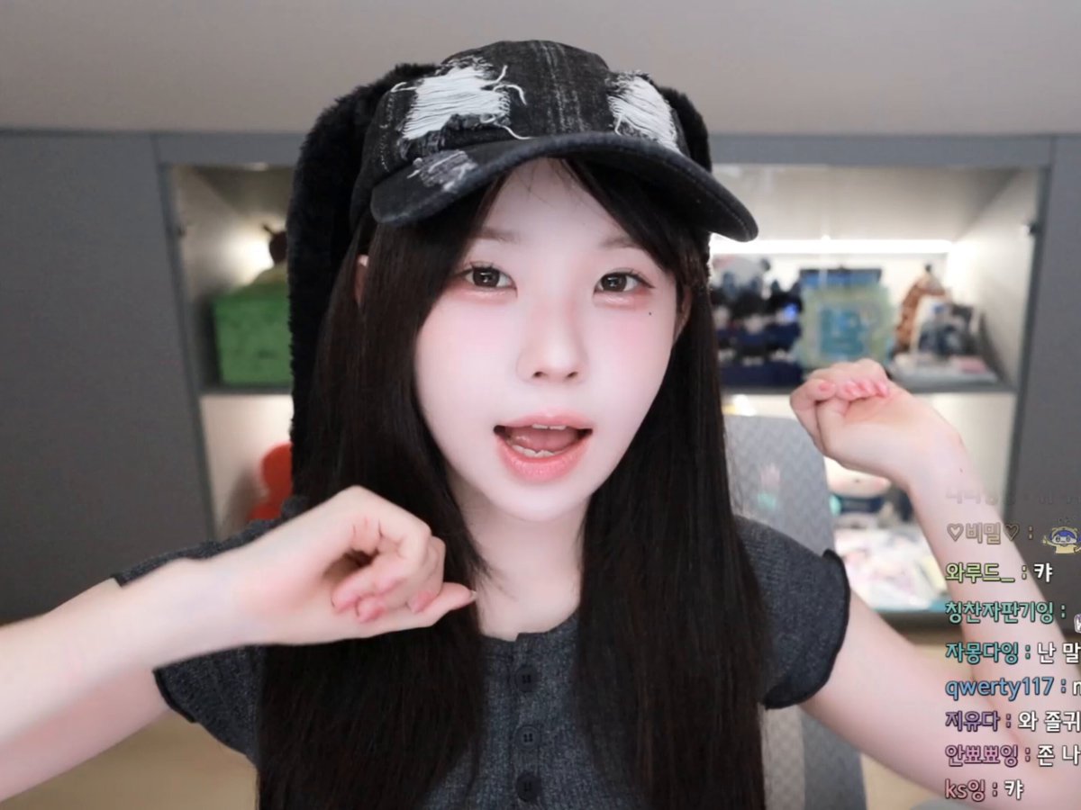알파카