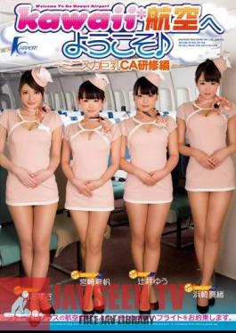 Ed Training CA Big Mini Skirt - Welcome To Kawaii * Aviation -