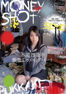 Studio Waap Entertainment Trapped In A Tiny Wooden Apartment And Showered With Cum Suzuka Morikawa