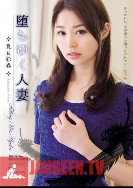 Yuku Fell Married Natsume Saiharu