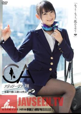 Sho Nishino Et Al Intercourse Feel Stewardess, By Instinct Sho