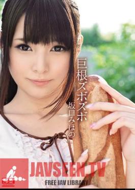 Cock Of Zubozubo Sakaguchi Miho