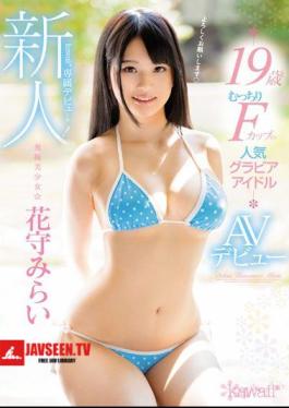 A Rookie!Kawaii * Exclusive Debut Excavation Pretty Girl Hiramori Mirai 19 Years Old Popular Gravure Idol AV Debut Of Tight Cup F Cup