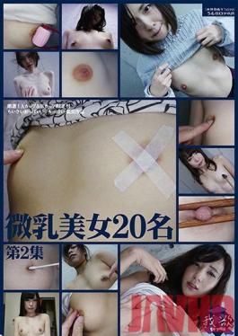Studio Eiten Small Breasts, Hot Women: 20 Ladies (Anthology Vol. 2)