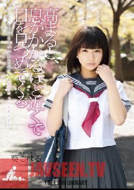 Studio Ienergy - I Can't Stop Staring At You! School Girls in Uniform Koharu Aoi