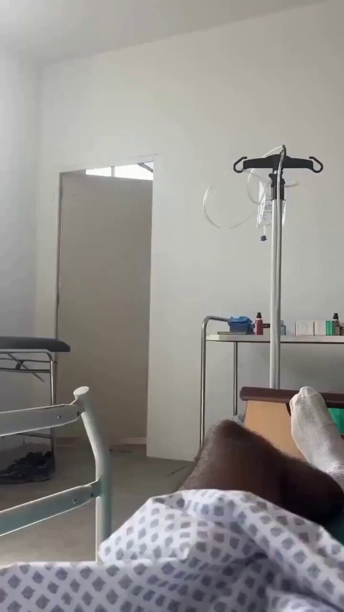 猫爷