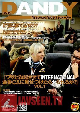 Studio DANDY (They Made Me Hard...Can I Show It to These International CA Blondes?!) vol. 1