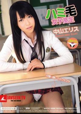 Nakayama Ellis School Girls Hair Hami
