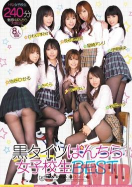 Studio Yellow School Girls in Black Tights, Panty Shots BEST