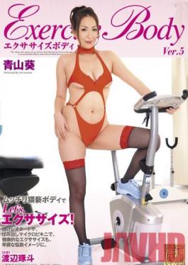 Studio AVS collector's Exercise Body Ver.5 Aoi Aoyama