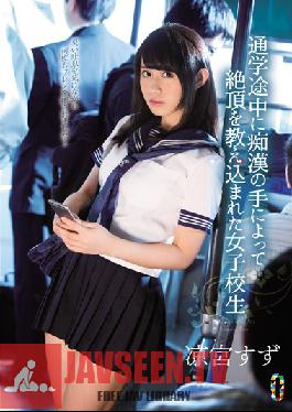 Studio teamZERO The Schoolgirl Who Learns About Orgasms By The Hands Of Molesters While On Her Way To School