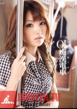 Chikan Train Amami Wings OL
